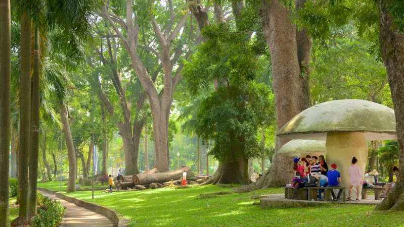 Raising-Kids-in-HCMC-Guide-for-Long-Term-Expat-Families-5