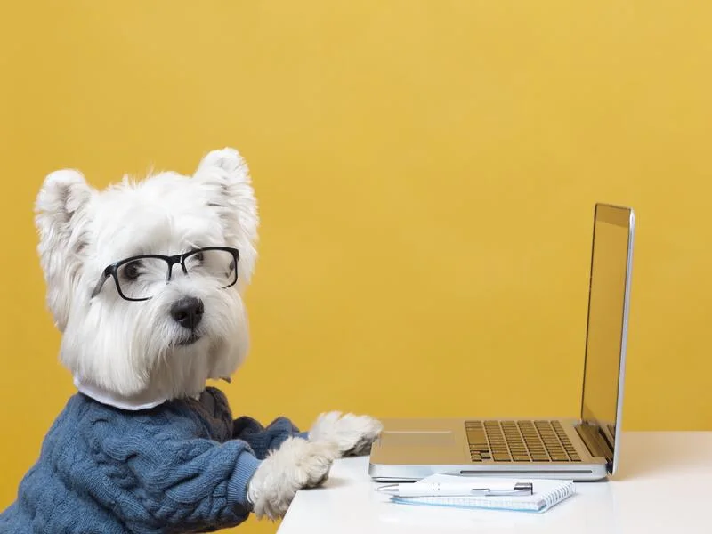 Hidden-Costs-of-Renting-with-Pets-Deposits-Cleaning-&-Repairs-1