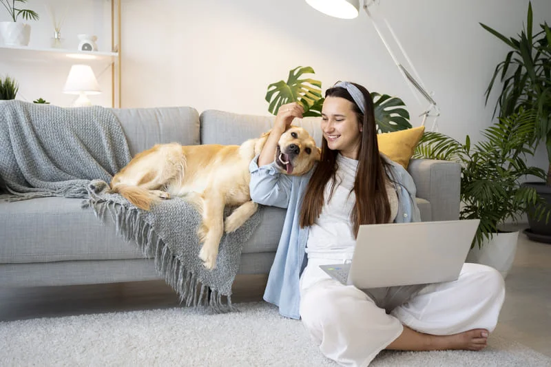 Living-with-Pets-in-Vietnam-A-Complete-Guide-for-Expats-&-Locals-4