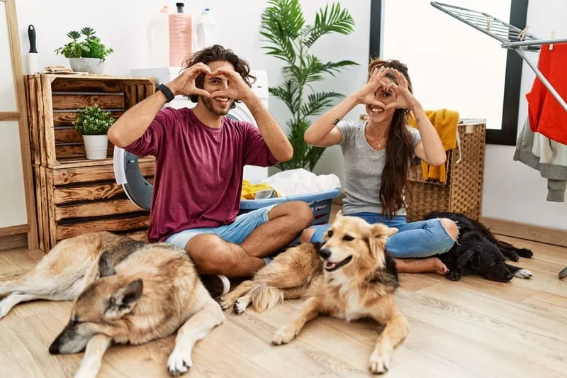 Hidden-Costs-of-Renting-with-Pets-Deposits-Cleaning-&-Repairs-5