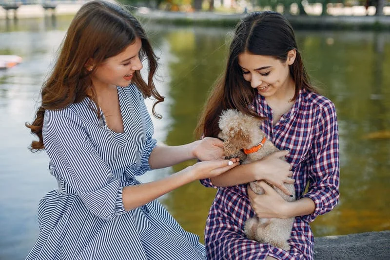 Pet-Friendly-Apartments-in-HCMC-What-You-Need-to-Know-5