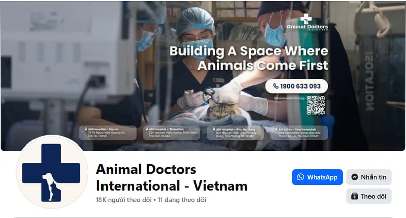 Pet-Friendly-Apartments-in-HCMC-What-You-Need-to-Know-4