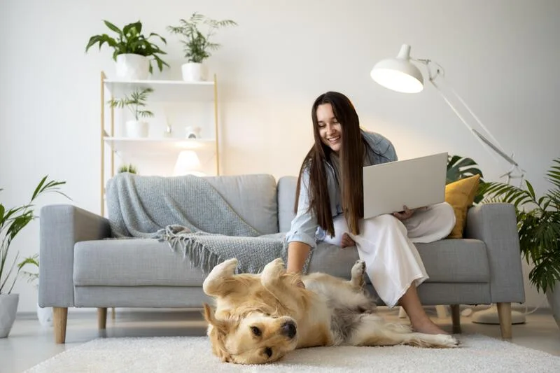 Moving-to-Vietnam-with-Pets-Entry-Rules-&-Required-Documents-5
