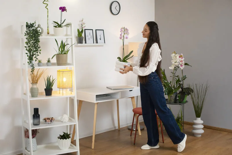 Finding-“Home”-Far-Away-Real-Stories-from-Tenants-4