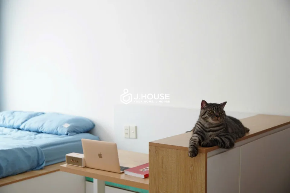 Apartment interior
